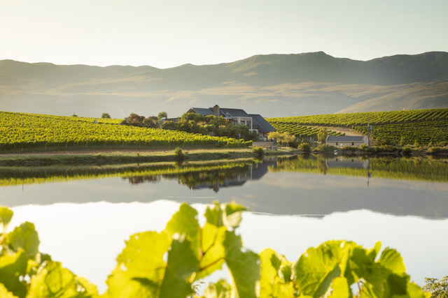 Hemel-en-Aarde: South Africa’s striking cool-climate answer to Burgundy